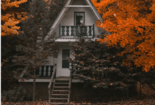 Creating the Perfect Home Environment: Comfort, Style, and Function