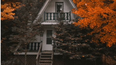 Creating the Perfect Home Environment: Comfort, Style, and Function