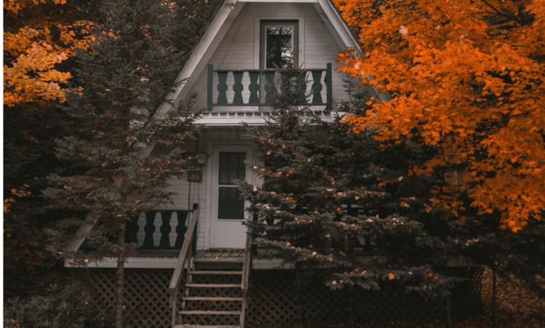 Creating the Perfect Home Environment: Comfort, Style, and Function