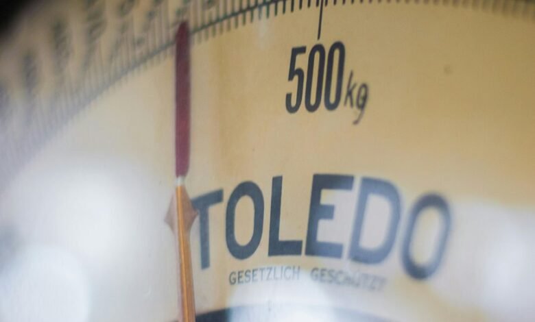 digital scaling growth system 1300403205