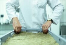 innovation development spotlighted future