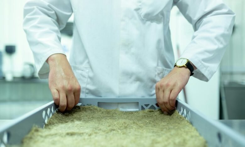 innovation development spotlighted future