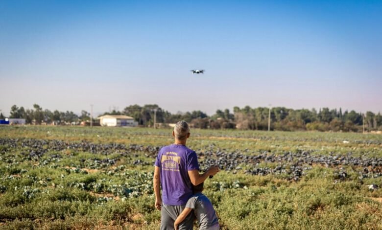 intelligent growth innovation strategy