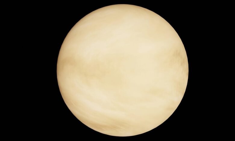 stellar profit from orbit