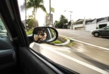 drive traffic pulse lens