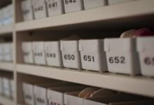 latest caller data numbers archive guide