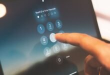 list of phone numbers provided