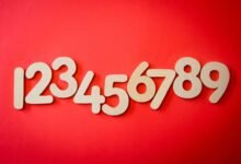list of various phone numbers provided
