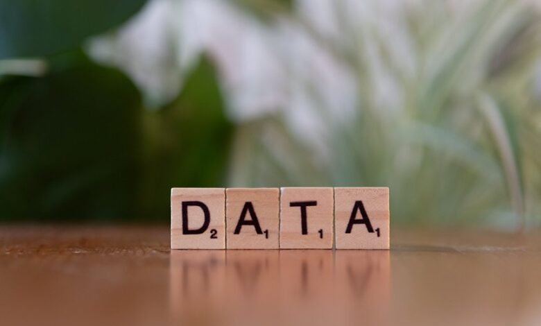number registry lookup for five numbers