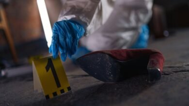 observed registry evidence numbers listed