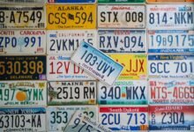 phone numbers appear in registry listings