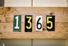 public number records 5 ids listed