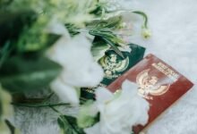 verify specific registry numbers listed